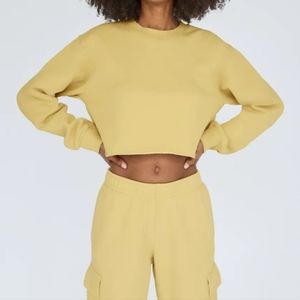 NWT Aritzia Fleece Sweater